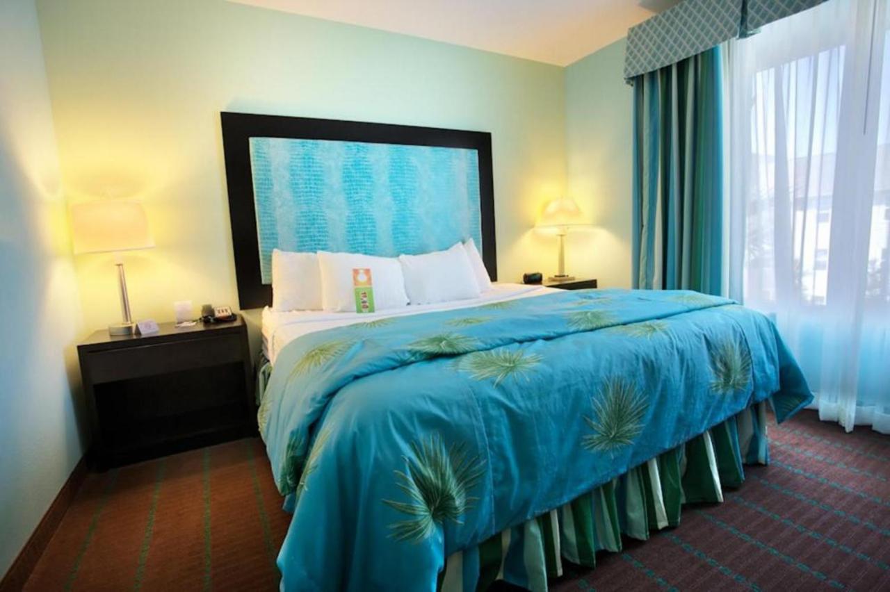 Holiday Inn Hotel & Suites Ocala Conference Center By Ihg Buitenkant foto